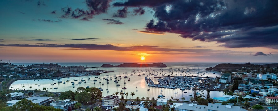 An array of pleasure boats docked in a harbor at sunset 